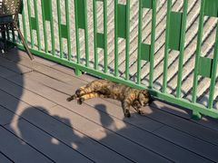 -EATALIA意塔利意式餐厅(鼓楼店)