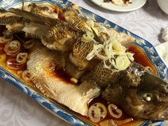 -沈记菜馆(酒仙桥路店)
