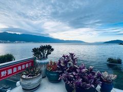 -野菌皇海景野生菌火锅(滨海大道店)