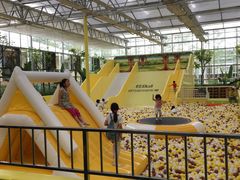 游乐设施-南宫五洲植物乐园