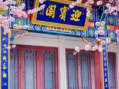 -桃花堤公园
