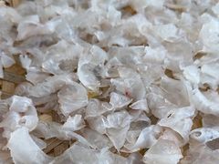 -官塘陈记鱼生·潮汕砂锅粥·牛肉火锅(潮枫路总店)