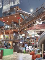 -卡通尼·Safari非洲探索乐园·生日会(金桥国际商业广场店)