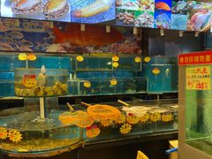 水产区-新东城喜宴海鲜酒家(同德店)