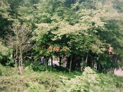 -崇州九龙峡漂流