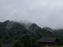 -姑婆山旅游区