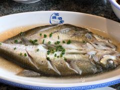 清蒸白丝鱼-沈厅酒家(周庄店)