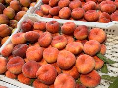 -乐乐鲜果水果超市(河北店)