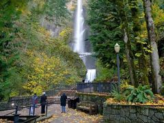 -Multnomah Falls Lodge Restaurant