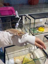 -Moni星球萌宠·小马宝莉·灵蛇·高端高阶全萌宠互动体验俱乐部(红豆国际广场店)
