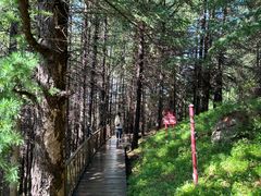 -苏木山森林公园