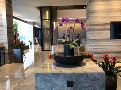 -苏州希尔顿酒店·园大堂吧
