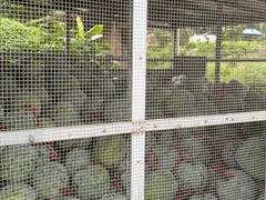 -红旗山庄(圭峰山店)