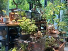 -自由生长植物工作室(深港花卉中心店)