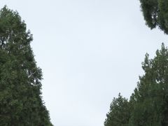 -四门塔风景区