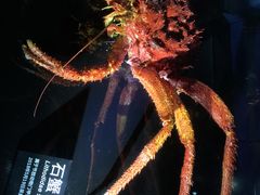 -同济大学四平路校区深海探索馆