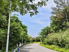 -青龙山国家森林公园