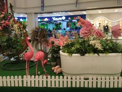 -凯德广场(武胜路店)