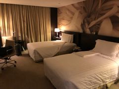 -国家会议中心大酒店