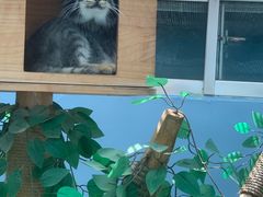 -青藏高原野生动物园