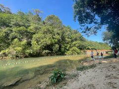 -广州白江湖森林公园