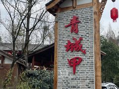 -青城甲(青城山店)