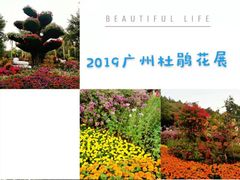 -广州雕塑公园