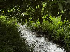 -古韵餐厅(湖畔大学店)
