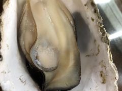-蚝得喜海鲜(东城店)