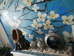 -scarlet斯卡莱美容护理机构