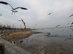 -星海广场