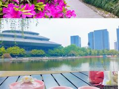 -杭州城北体育公园