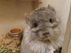 -龙猫仔乐园(惠福东路店)