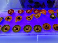 -福州天元国际威斯汀酒店·中国元素餐厅