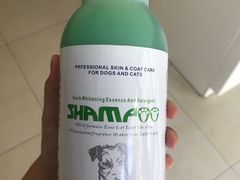 -宠福鑫康馨动物医院·骨科·眼科