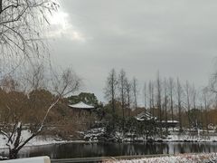 -武汉园博园(武汉自然博物馆)