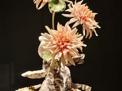 -蟹犇•帝王蟹雪蟹(陆家嘴店)