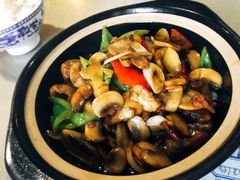 煲仔蘑菇-随善园餐厅(大理店)