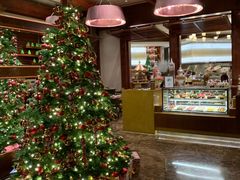 -香港尖沙咀凯悦酒店