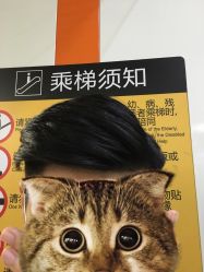-V-STAR威斯达•高级私人定制