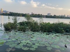 -济南富力凯悦酒店