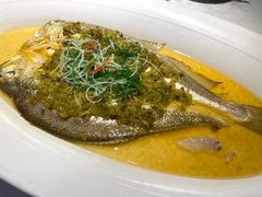 雪菜蒸野生大黄鱼-麟1929(外滩店)
