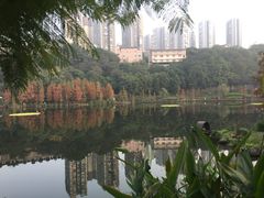 -重庆彩云湖湿地公园