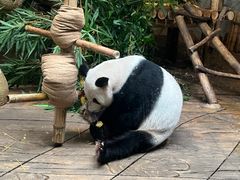 -深圳野生动物园
