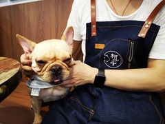 牛奶妹法斗-柯斗斗主题餐厅·狗咖·围炉煮茶·茶饮(国瑞升平里店)