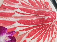 -侃爷南门铜锅涮肉