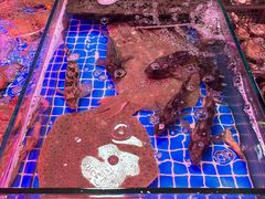 -麦岛和润农贸市场