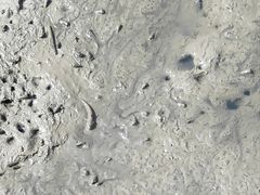 -北海金海湾红树林生态旅游区