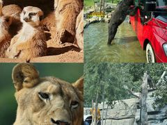 -北京野生动物园