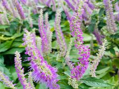 -北京植物园南门售票处